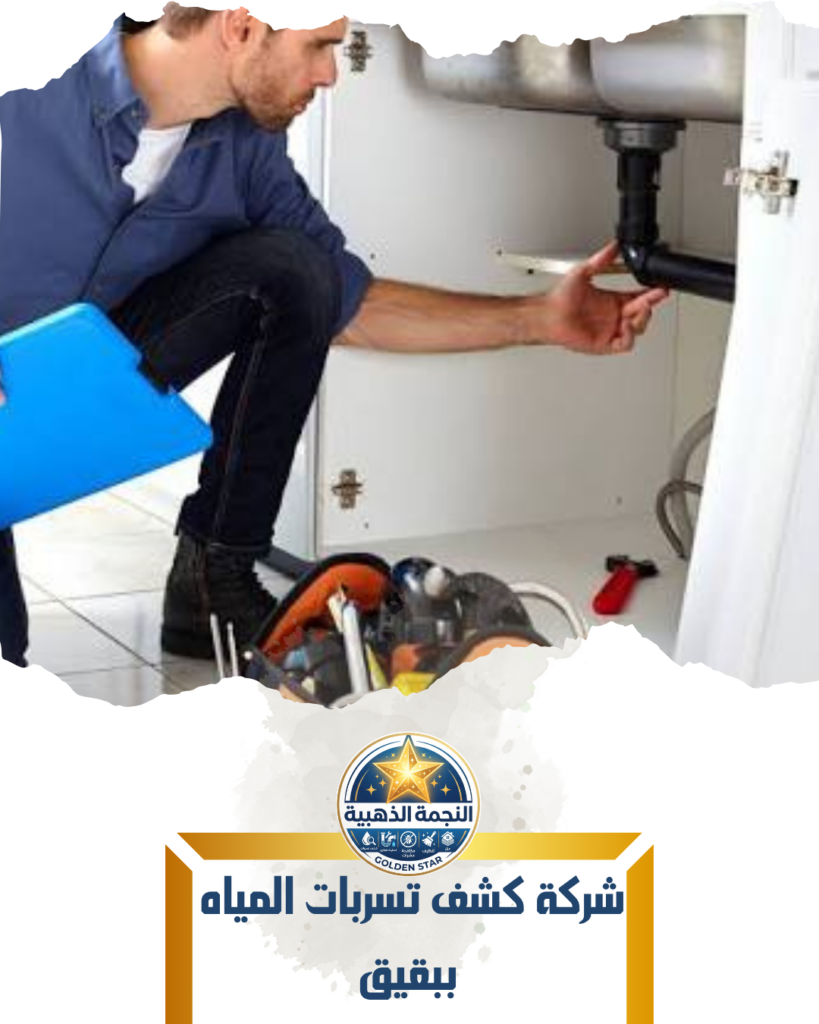 شركة كشف تسربات المياه ببقيق شركة كشف تسربات المياه ببقيق