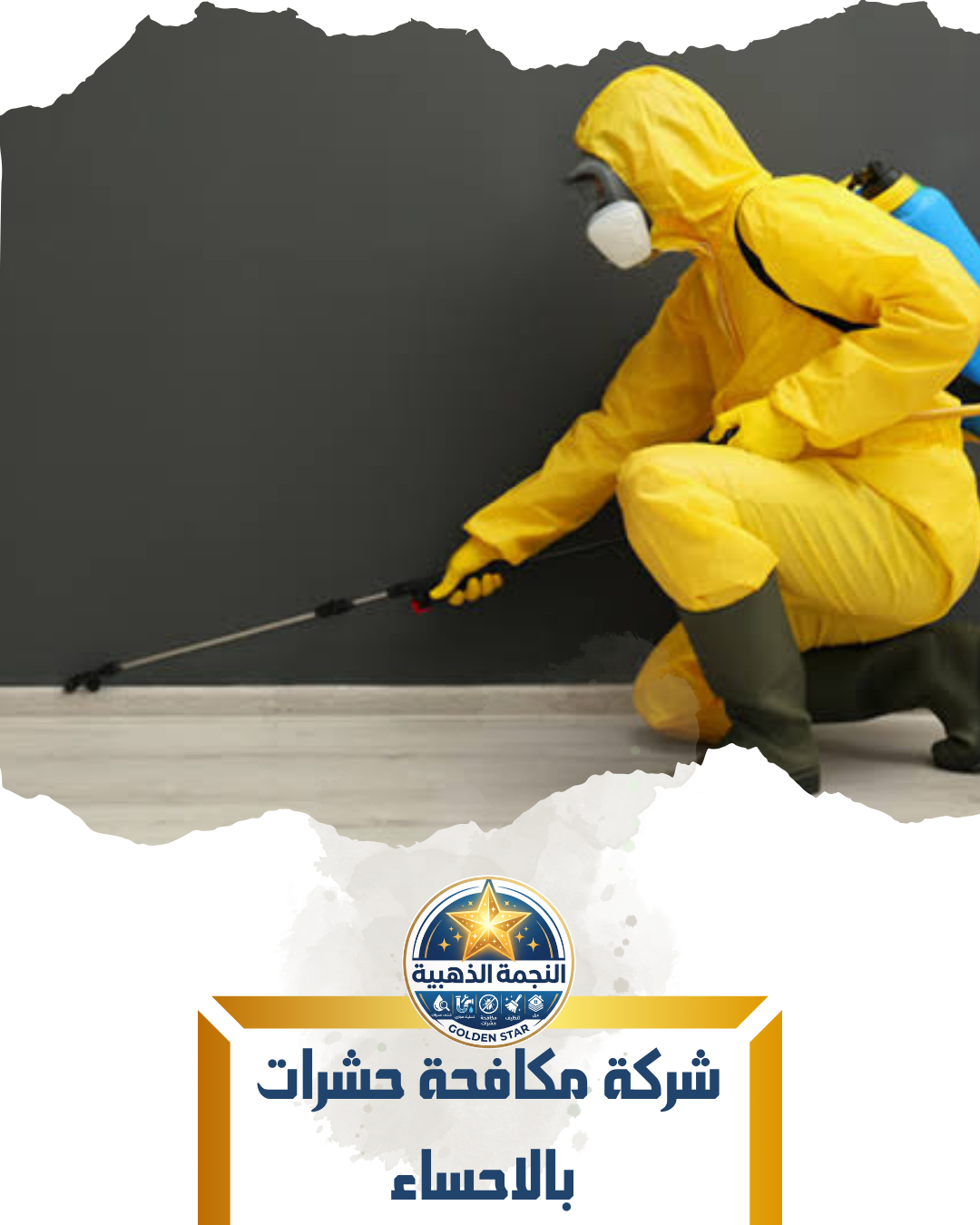 شركة مكافحة حشرات بالاحساء