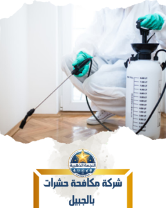 شركة مكافحة حشرات بالجبيل شركة مكافحة حشرات بالجبيل