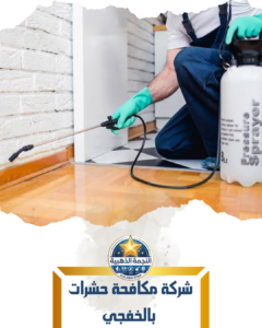 شركة مكافحة حشرات بالخفجي شركة مكافحة حشرات بالخفجي