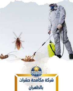 شركة مكافحة حشرات بالظهران شركة مكافحة حشرات بالظهران
