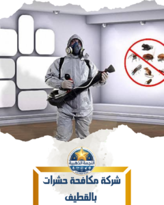 شركة مكافحة حشرات بالقطيف شركة مكافحة حشرات بالقطيف