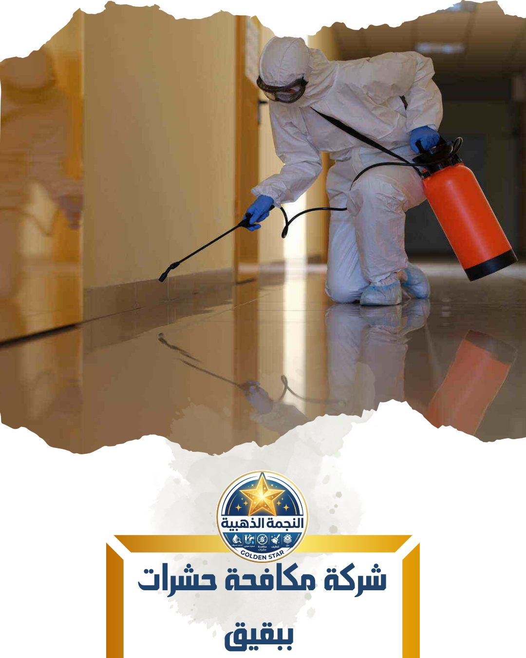 شركة مكافحة حشرات ببقيق