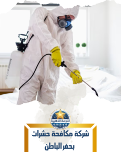 شركة مكافحة حشرات بحفر الباطن شركة مكافحة حشرات بحفر الباطن